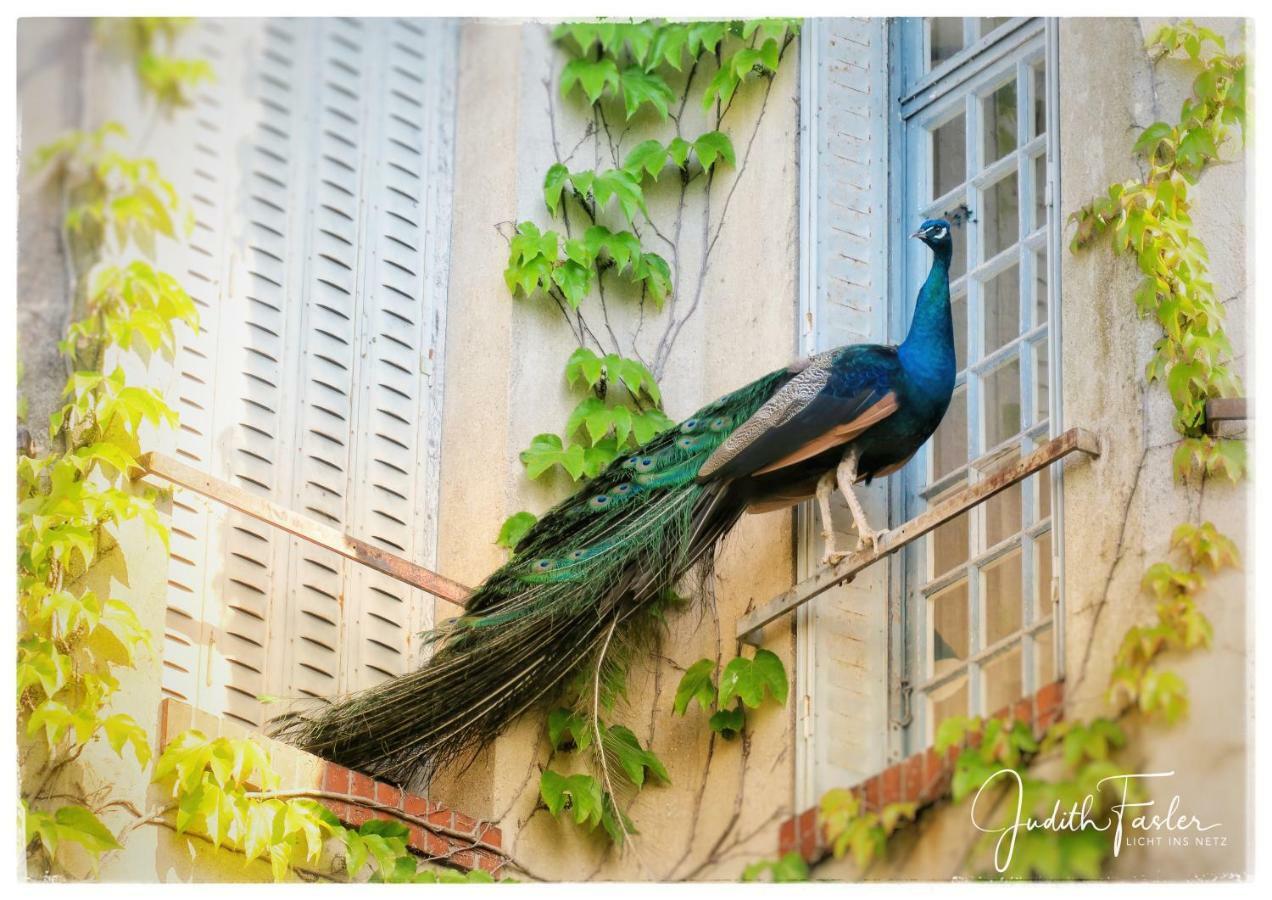 Bed and Breakfast Le Relais Du Doubs En Bourgogne Ciel Екстер'єр фото